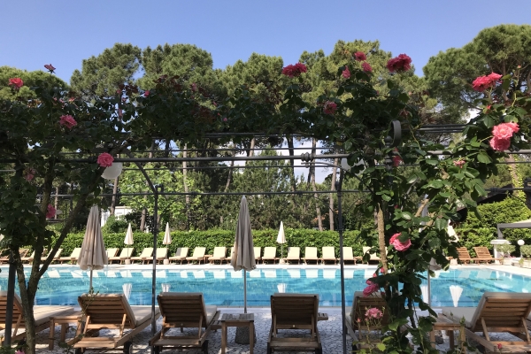 Hotel Greif